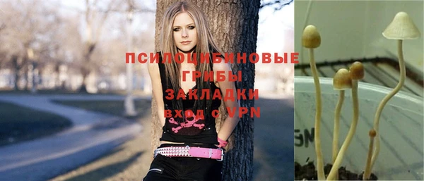 дживик Абаза