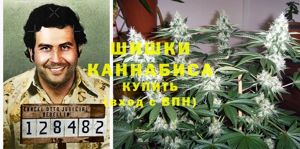дживик Абаза