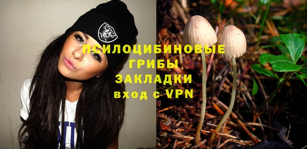 эйфоретик Абинск