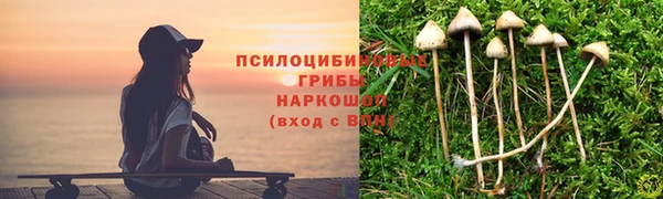 эйфоретик Абинск