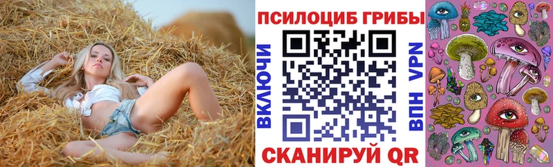 гидра как войти  цена   Аткарск  Галлюциногенные грибы Psilocybe 